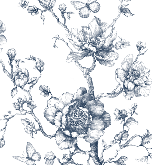 Fashion Illustrations