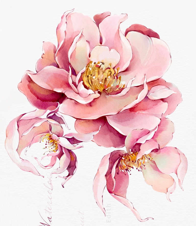 Custom Illustrations